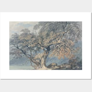 A Great Tree, 1796 Posters and Art